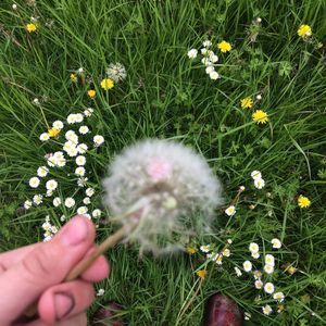 Meet your Posher, Sherri